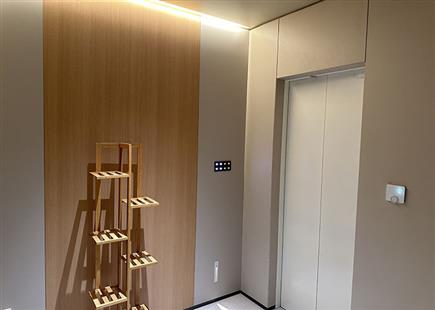 建業桂圓-別墅電梯